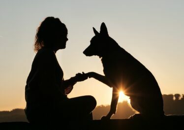 pawtners