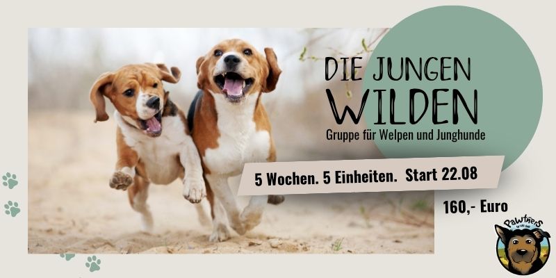 Junge Wilden 08.2026